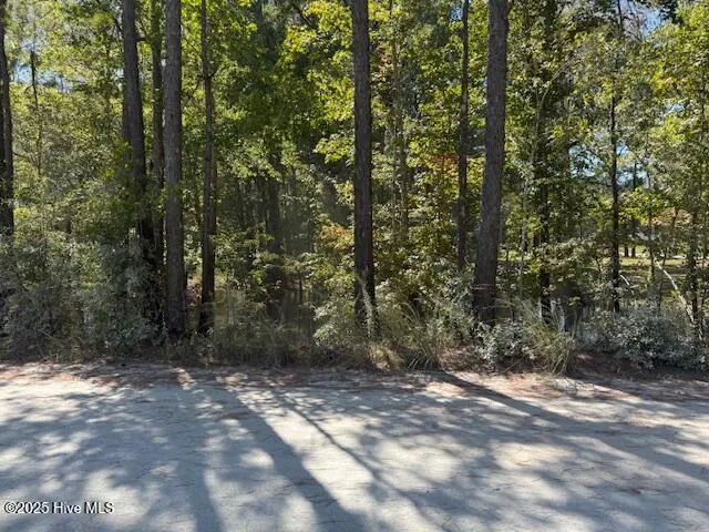 $135,000 | 1067 River Road, Tabor City, NC 28463