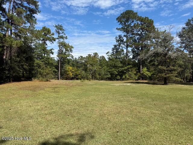 1067 River Road Tabor City, NC 28463 - Photo 6 of 9 IMG_3728