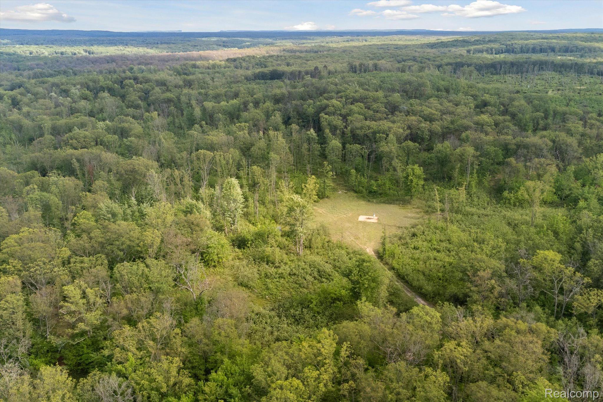 0 Oak Ridge Circle Road Comins, MI 48619 - Photo 5 of 13 Gallery Image 5