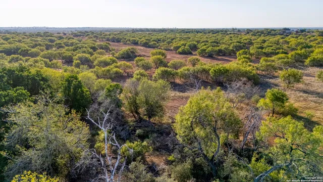 an aerial view of residential houses with outdoor space and trees