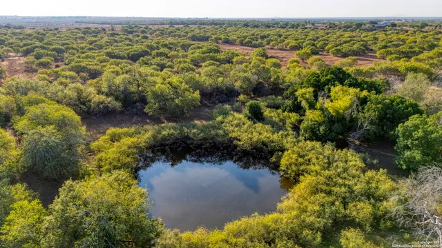 a view of a lake with a city