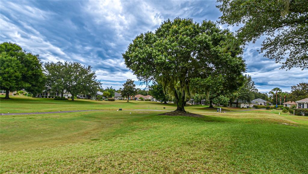 13260 Southeast 92nd Court Road Summerfield, FL 34491 - Photo 15 of 62
