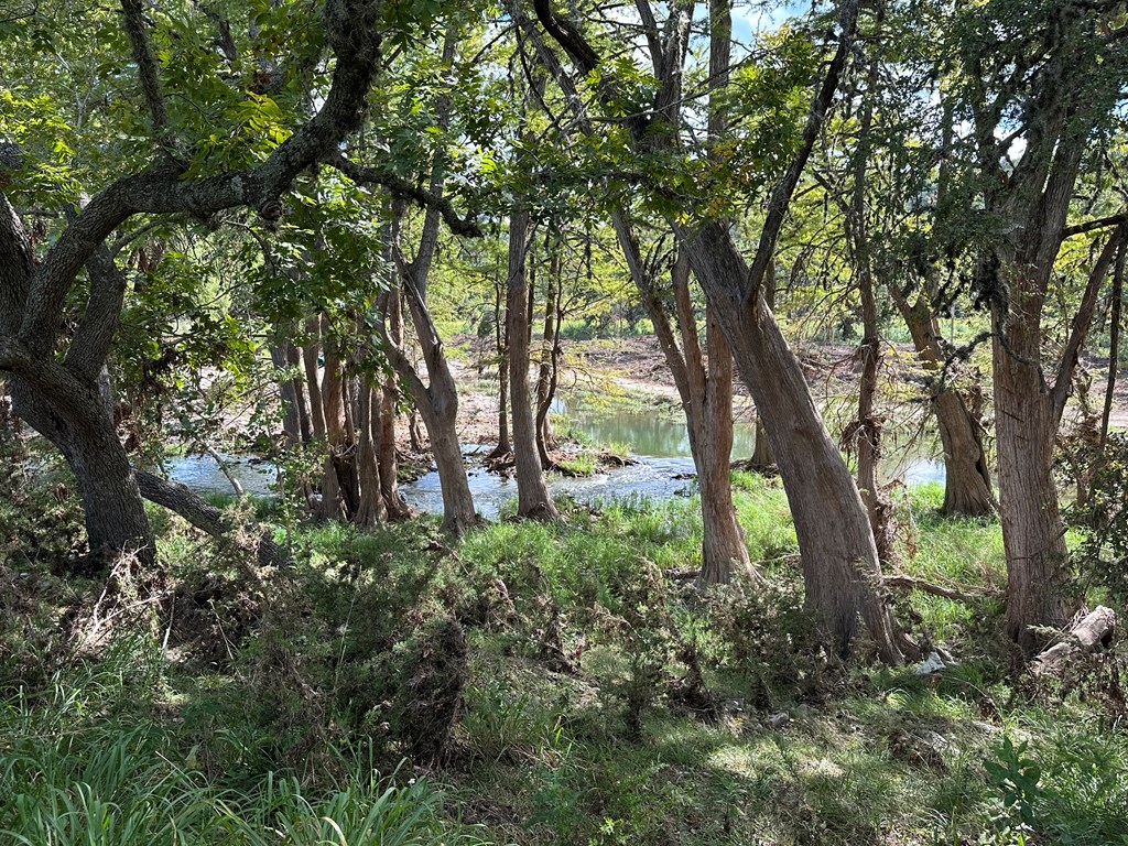 129 Russo Lane, Unit 3 Hunt, TX 78024 - Photo 4 of 16 a view of forest