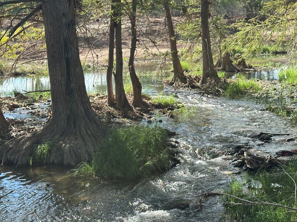 129 Russo Lane, Unit 3 Hunt, TX 78024 - Photo 5 of 16 a view of outdoor space and garden