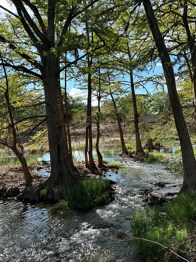 129 Russo Lane, Unit 3 Hunt, TX 78024 - Photo 7 of 16 a backyard of a house with lots of green space