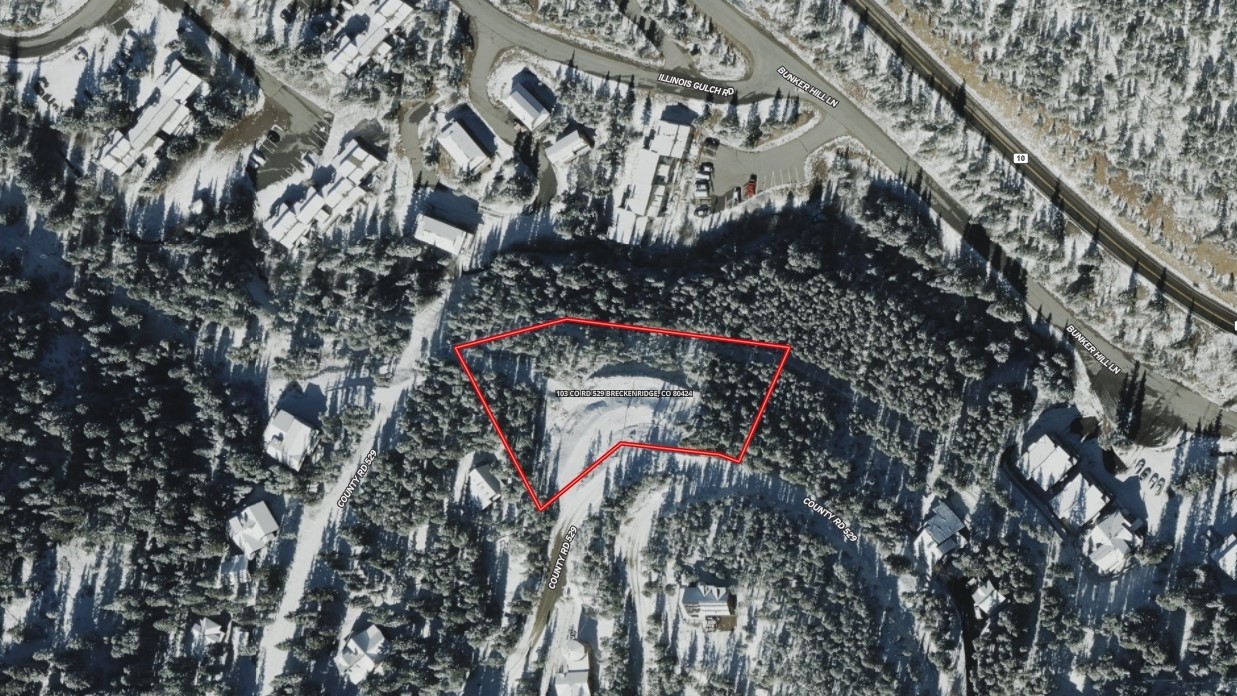 103 Co 529 Road Breckenridge, CO 80424 - Photo 34 of 34