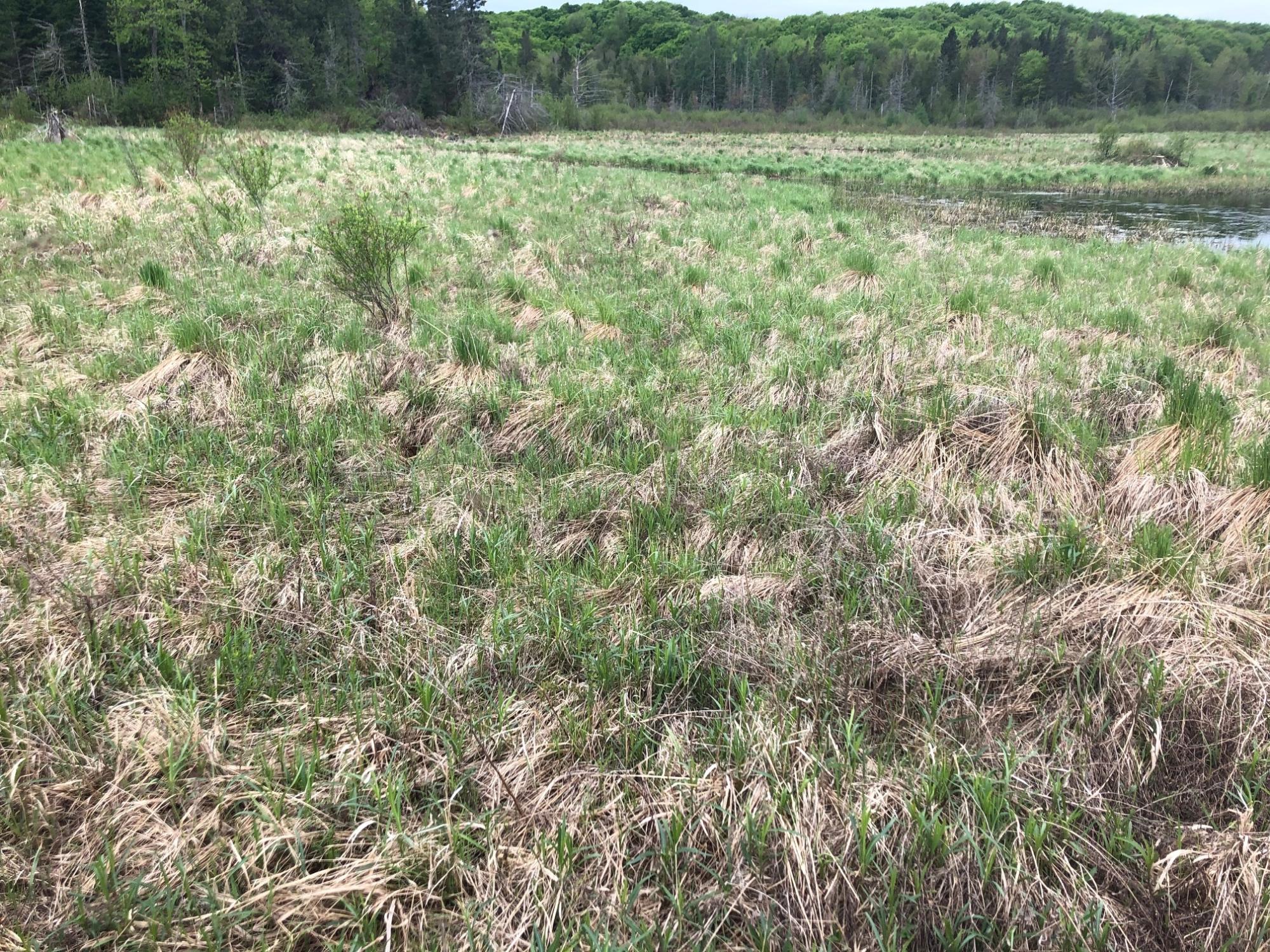 Off Fire Tower Road, Unit 40 AC Watersmeet, MI 49969 - Photo 30 of 37 Gallery Image 30