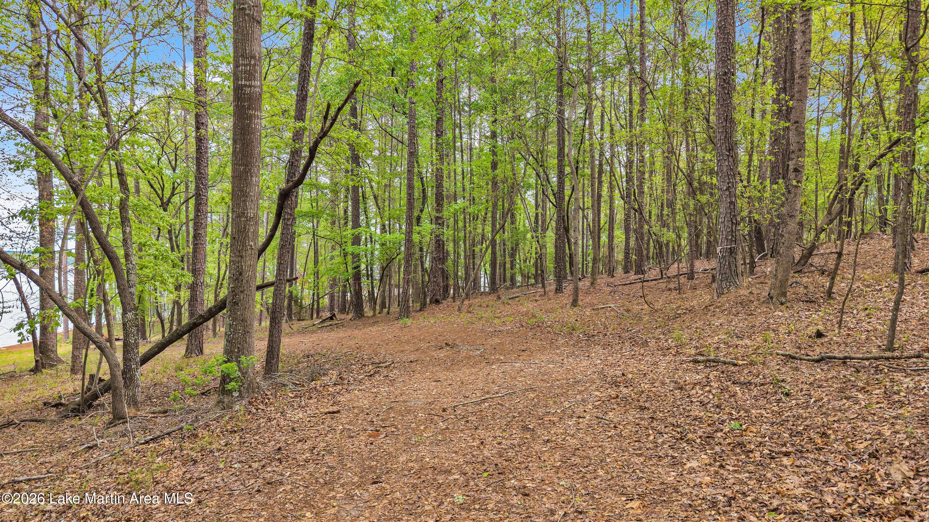 2353 Murray Road Dadeville, AL 36853 - Photo 8 of 18 Gallery Image 8