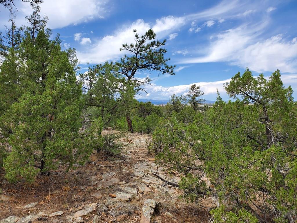 9640 Canyon Point Drive Rye, CO 81069 - Photo 11 of 32