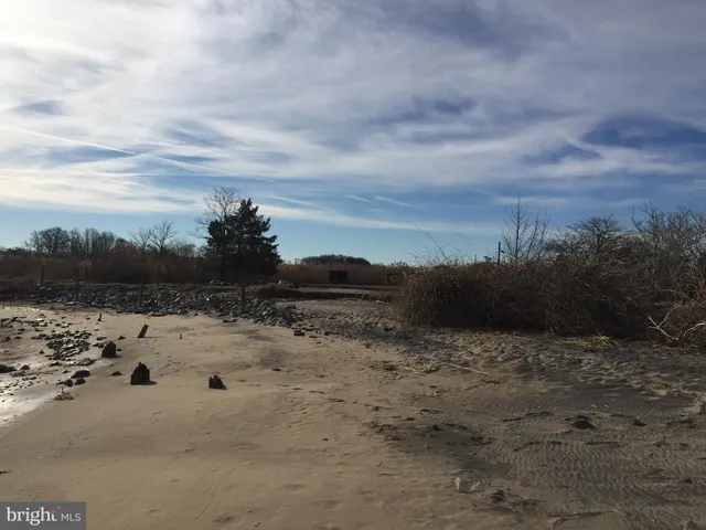 a view of a lake with beach