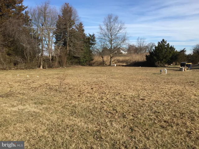 a view of a yard with an trees