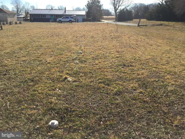 a view of yard with trees