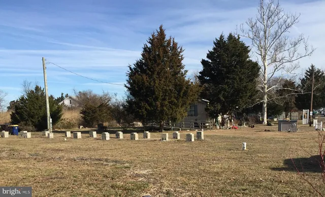 a view of road with trees