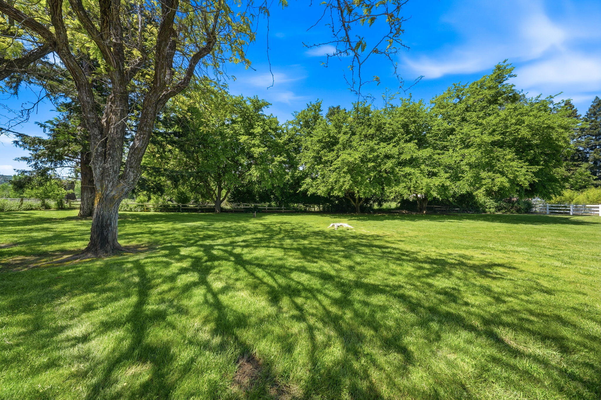 15695 Johnson Road Red Bluff, CA 96080 - Photo 37 of 53 37-web-or-mls-IMG-37