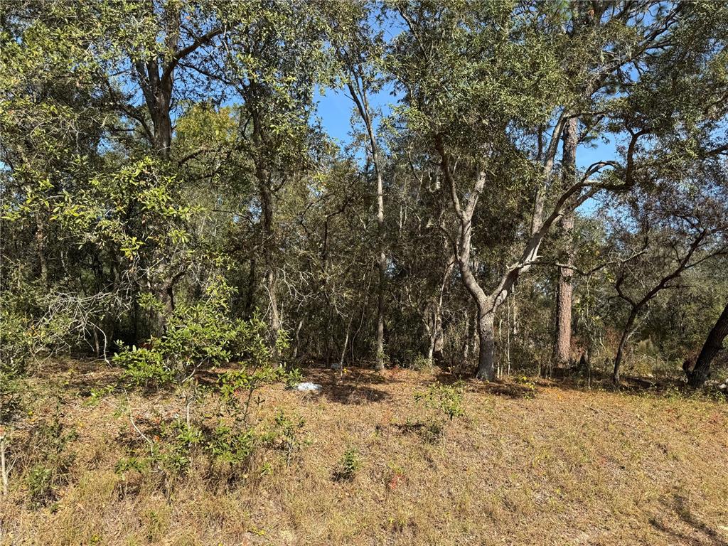 115 Southeast Place Road Ocklawaha, FL 32179 - Photo 2 of 8