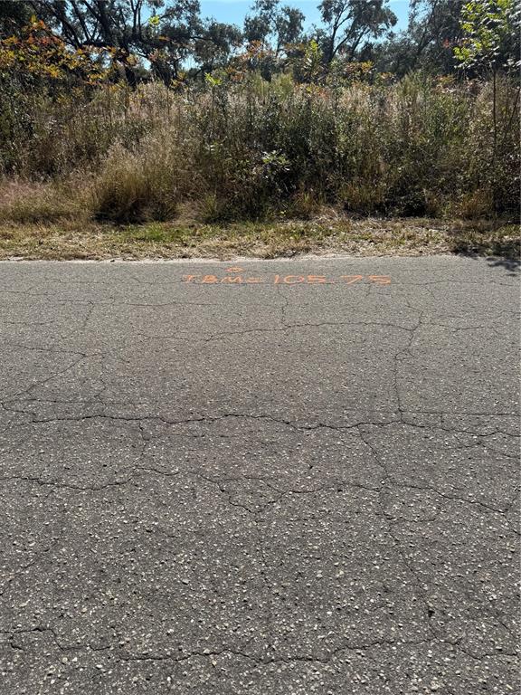 115 Southeast Place Road Ocklawaha, FL 32179 - Photo 5 of 8 a view of a field with an trees