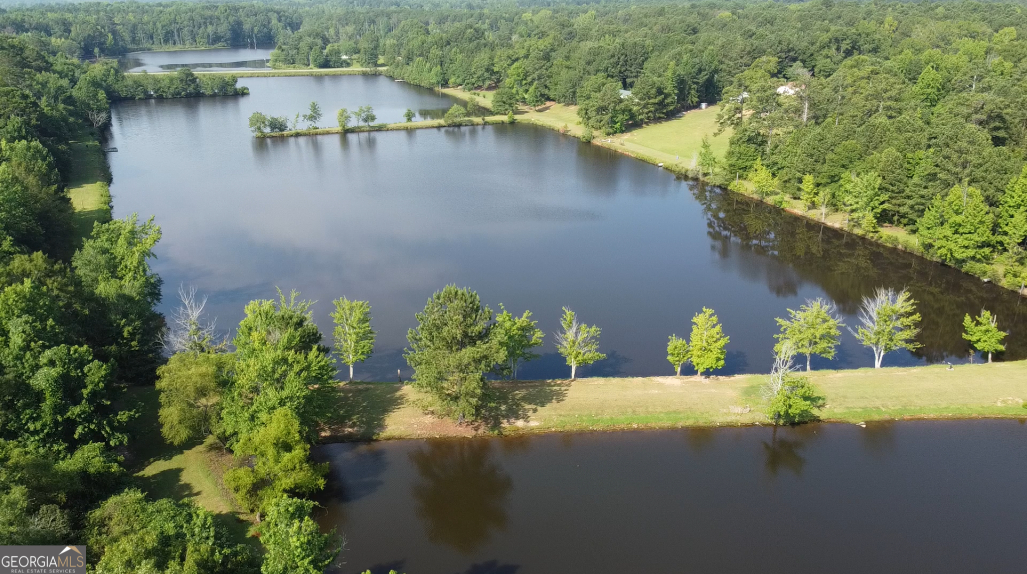 654 Liberty Hill Road Milner, GA 30257 - Photo 171 of 172