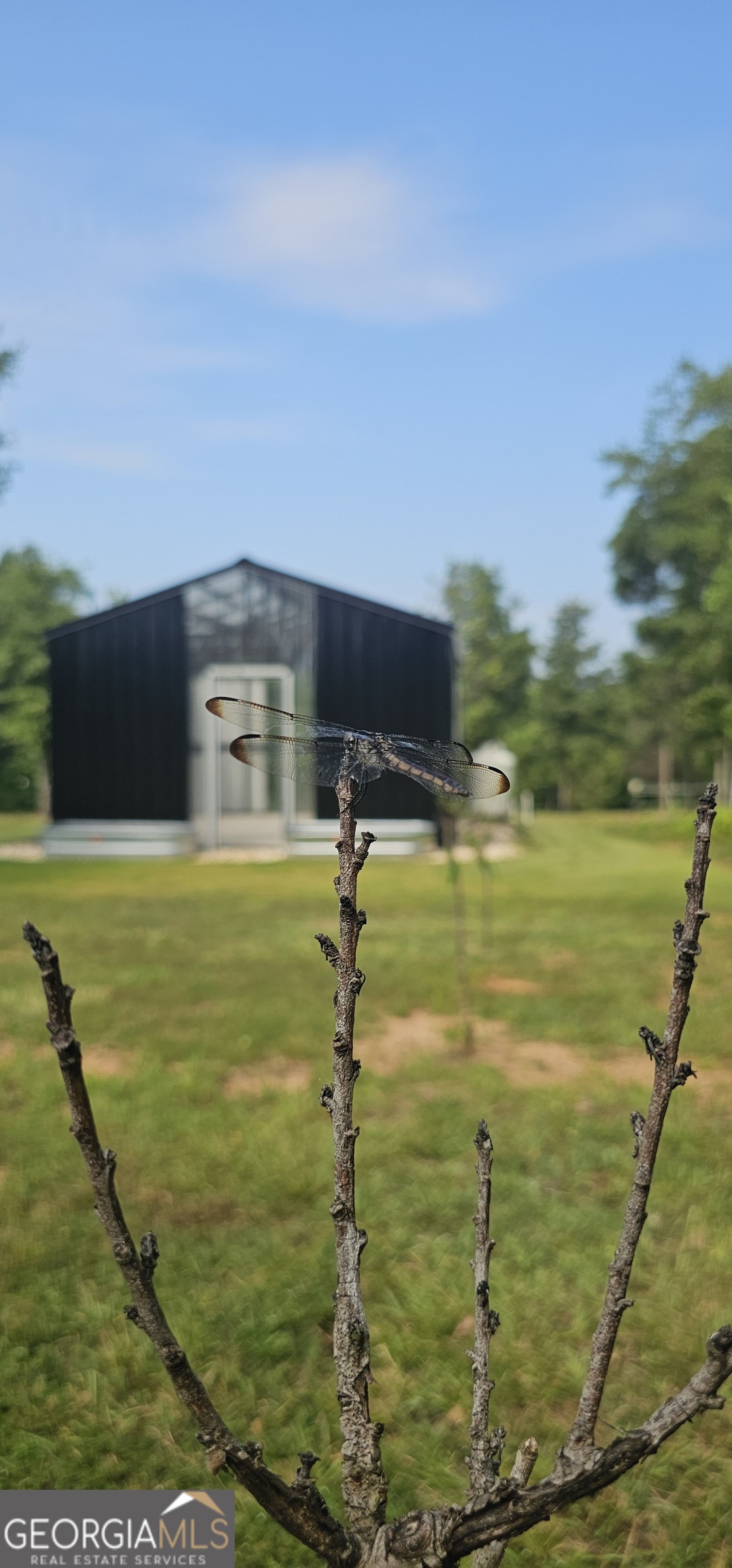 654 Liberty Hill Road Milner, GA 30257 - Photo 48 of 180