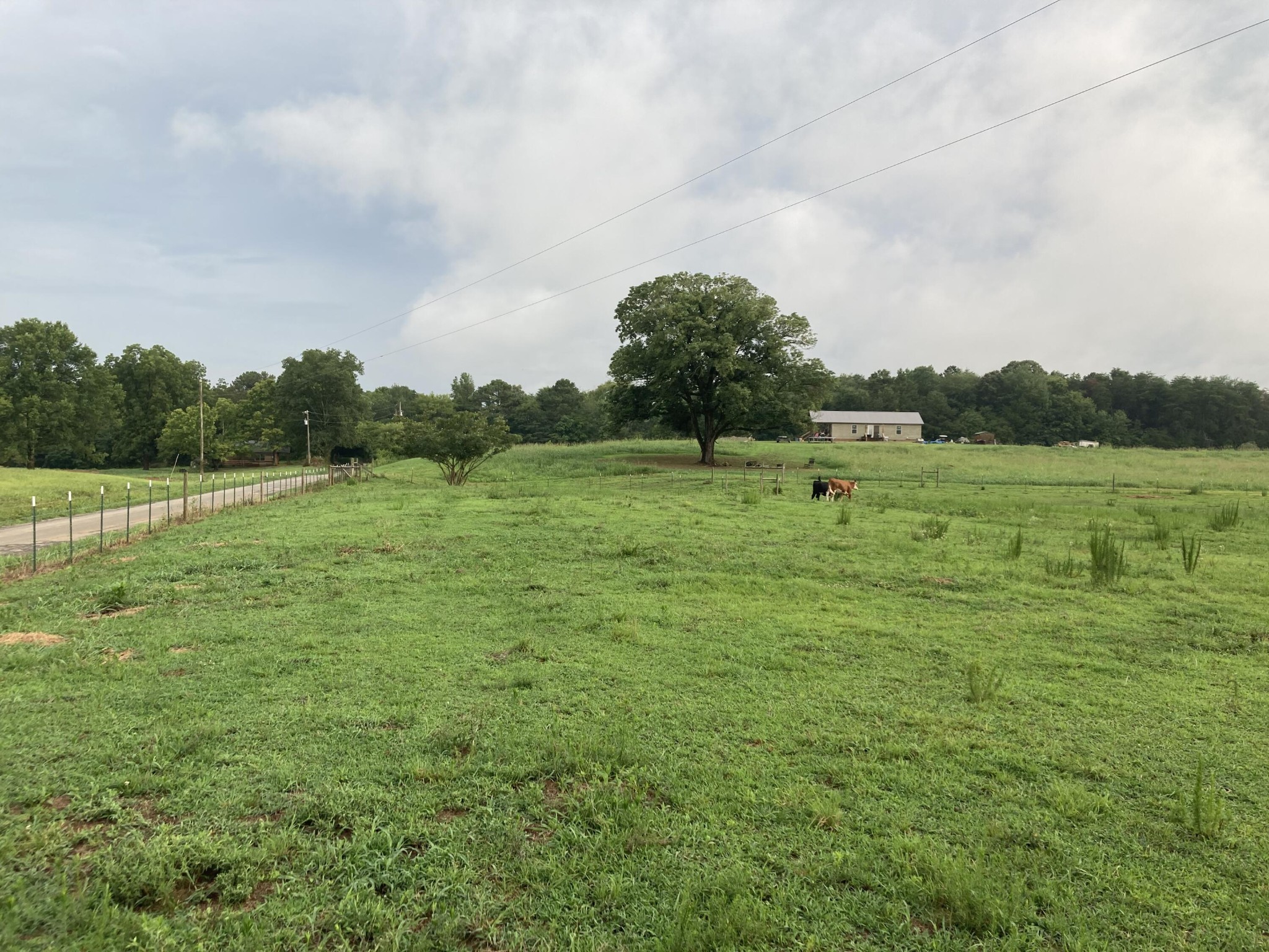 0 Swan Road Old Fort, TN 37362 - Photo 2 of 20