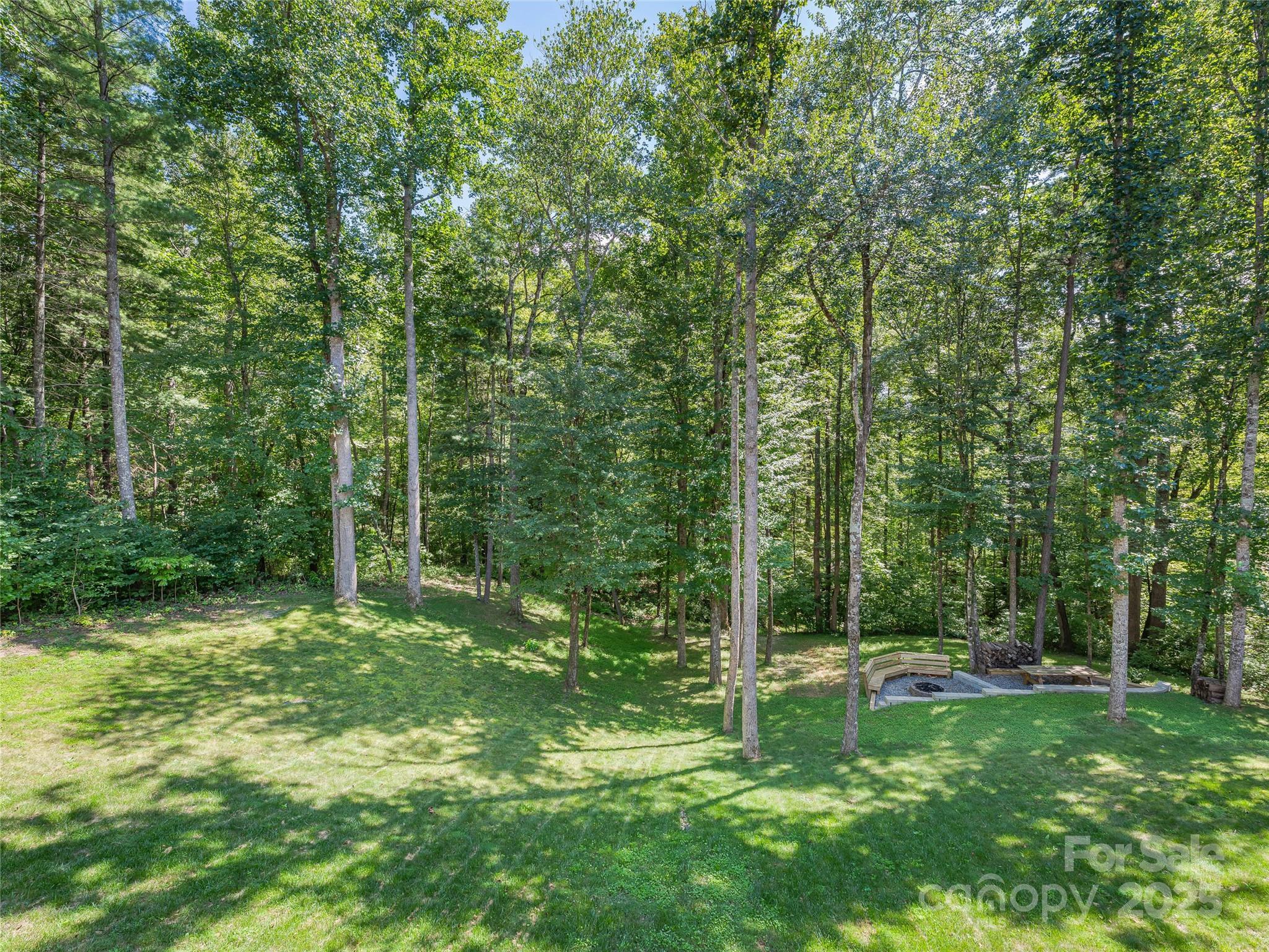 937 Monte Vista Road Candler, NC 28715 - Photo 16 of 46