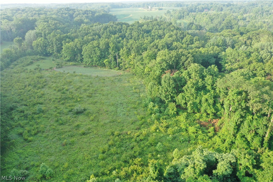 5201 Emerson Road Madison, OH 44057 - Photo 14 of 50