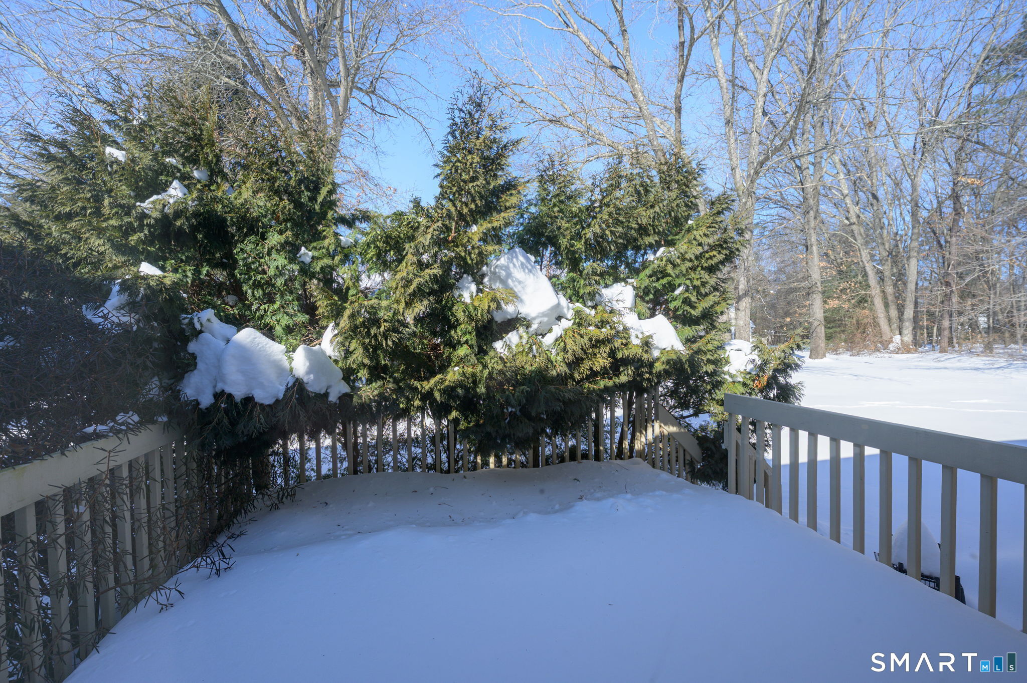 141 The Meadows, Unit 141 Enfield, CT 06082 - Photo 37 of 38