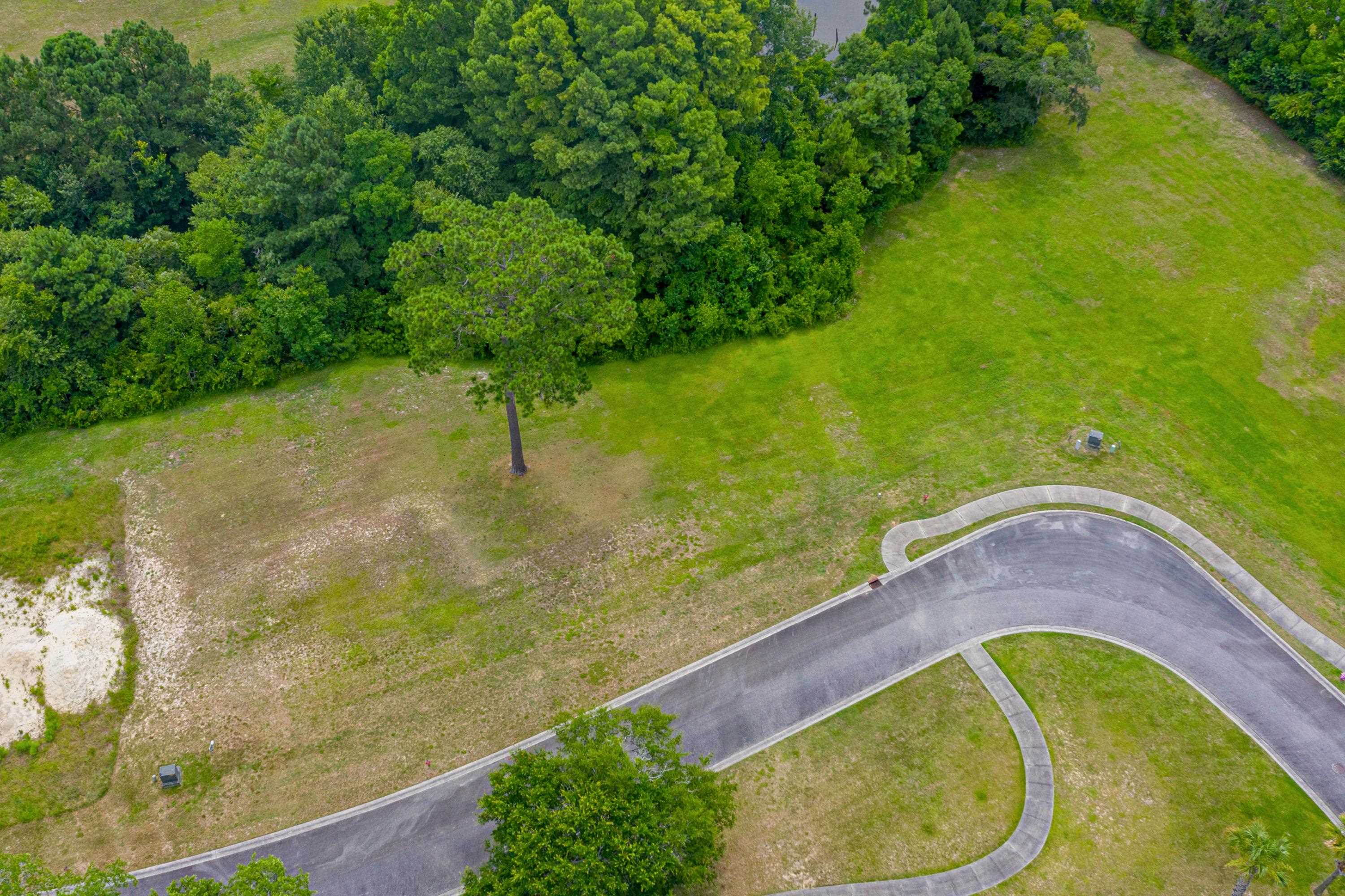 Lot #142 Millbrook Road Georgetown, SC 29440 - Photo 8 of 37