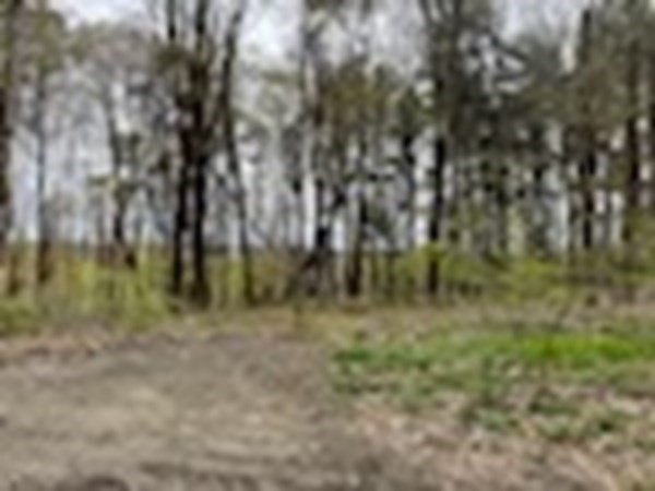 20 Spring Street Ipswich, MA 01938 - Photo 6 of 27 Gallery Image 6