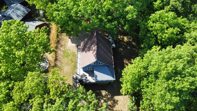 a plant that is in a garden