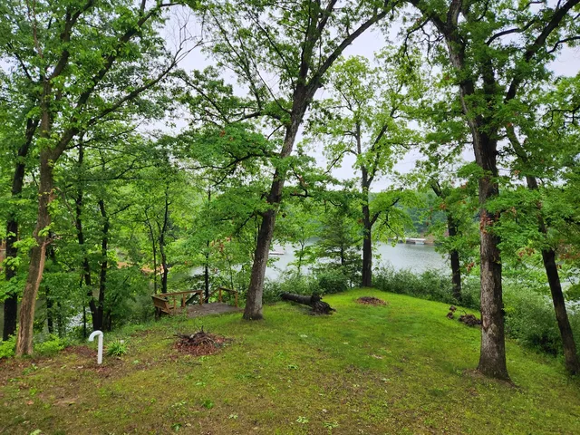 a view of backyard with green space