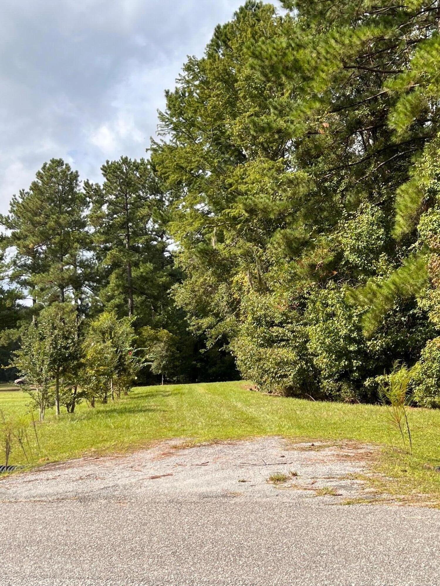 110 Hidden Hills Road Cross, SC 29436 - Photo 2 of 7 Entry to lot