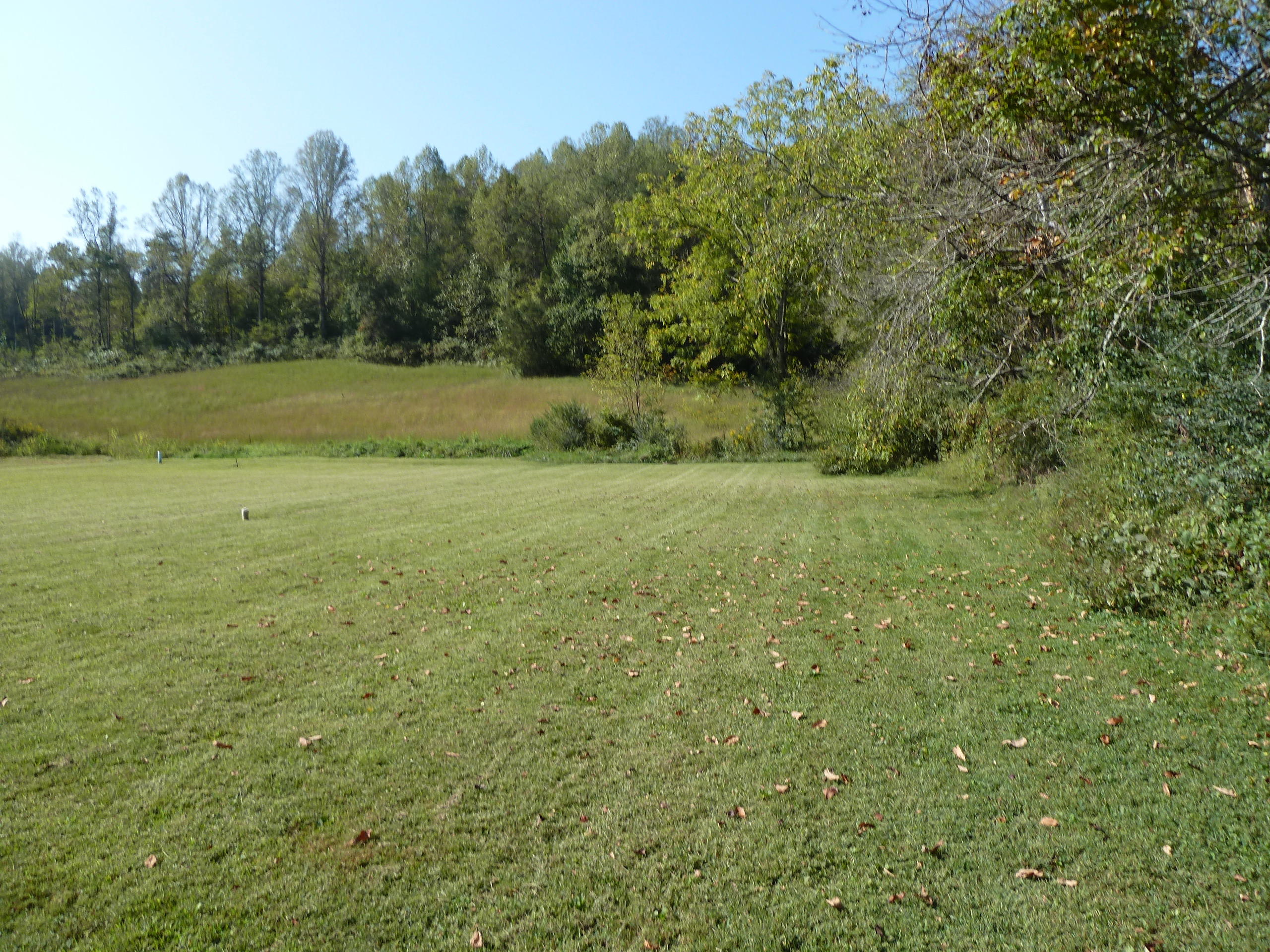 145 Raccoon Valley Road Maynardville, TN 37807 - Photo 15 of 16 P1200950