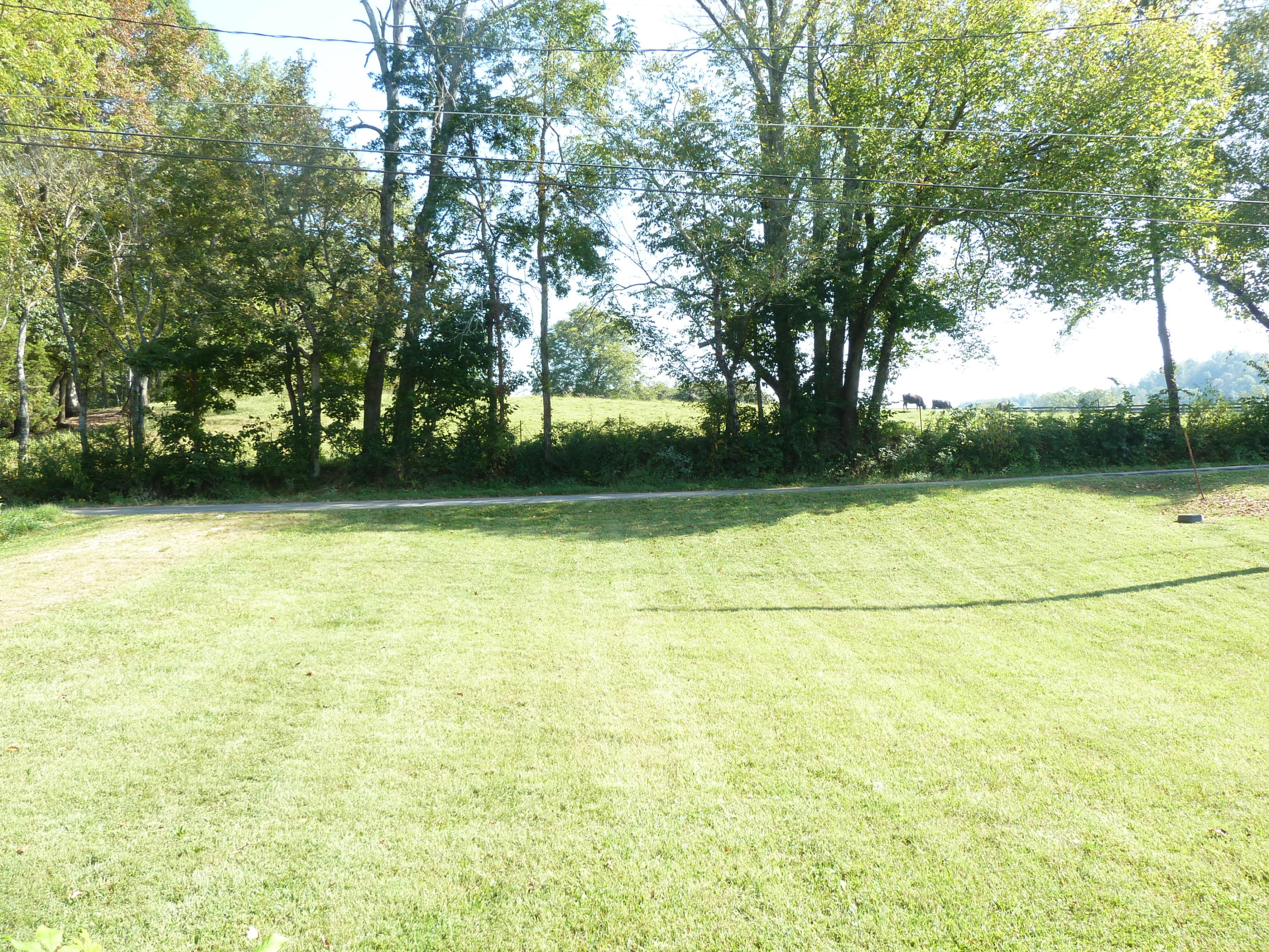 145 Raccoon Valley Road Maynardville, TN 37807 - Photo 16 of 16 P1200952