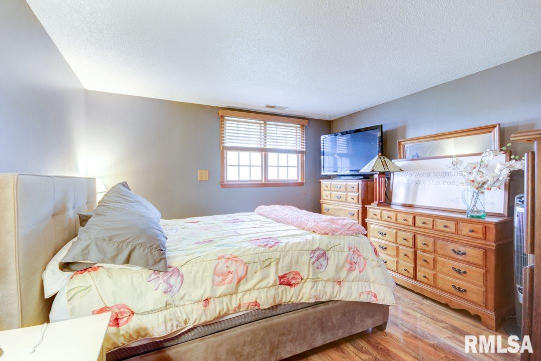 208 East Chestnut Street Chatham, IL 62629 - Photo 11 of 30