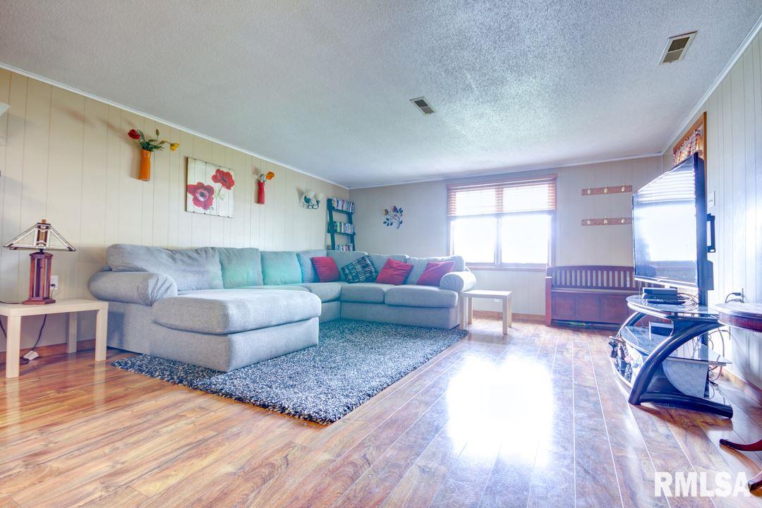 208 East Chestnut Street Chatham, IL 62629 - Photo 5 of 30