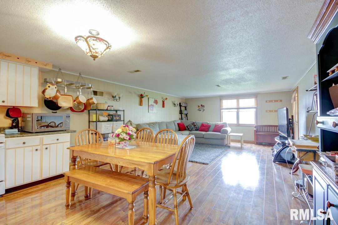 208 East Chestnut Street Chatham, IL 62629 - Photo 7 of 30