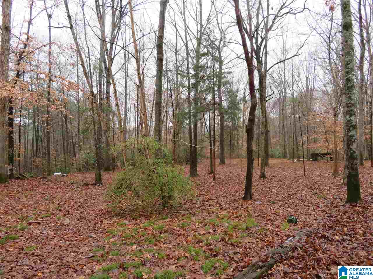 138 Cedar Grove Road West Blocton, AL 35184 - Photo 11 of 44