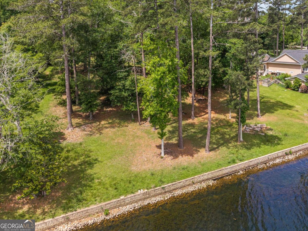 151 Bill Johnson Road Northeast Milledgeville, GA 31061 - Photo 4 of 27 a view of a backyard
