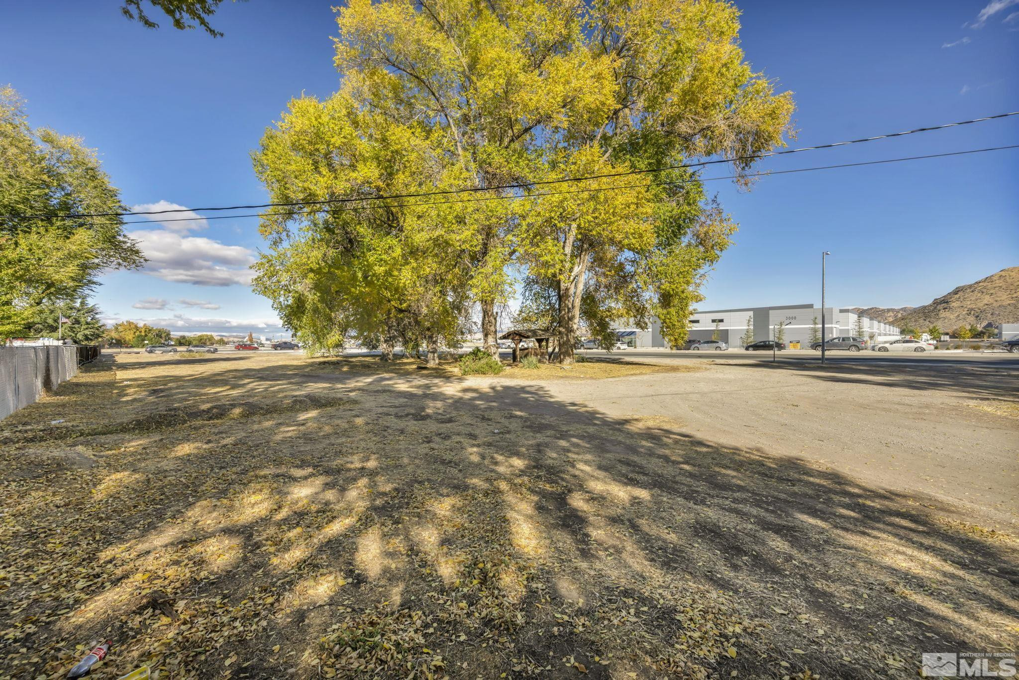 1695 Marvel Way Reno, NV 89502 - Photo 12 of 13 a street view with large trees