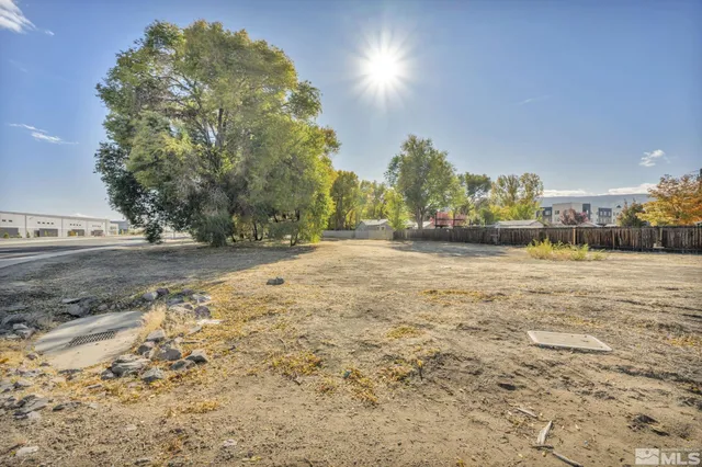 a view of dirt yard with a large tree