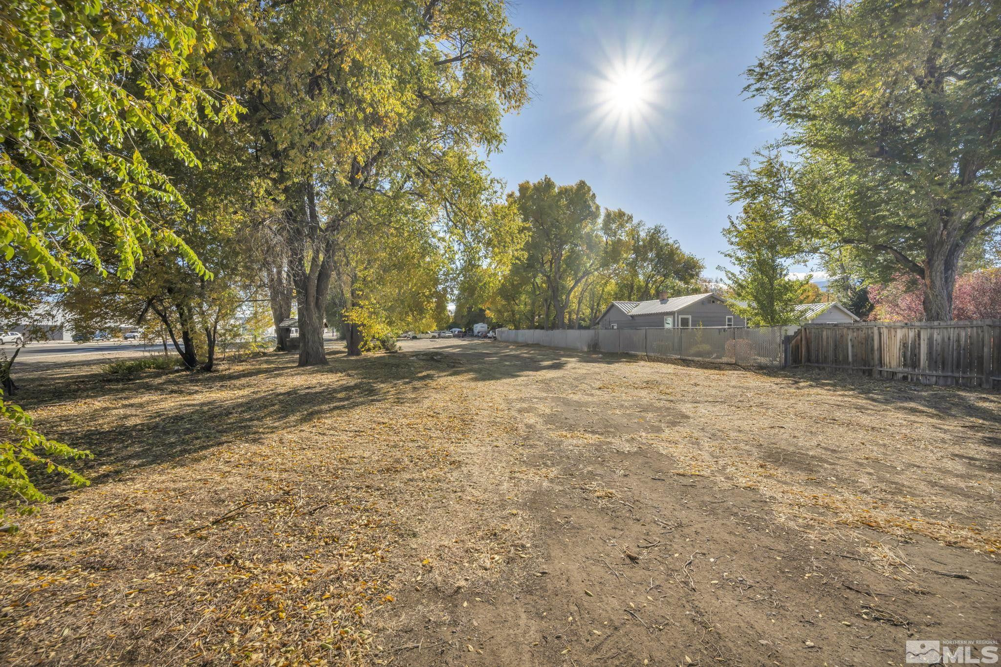 1695 Marvel Way Reno, NV 89502 - Photo 8 of 13 a view of dirt yard with a large tree