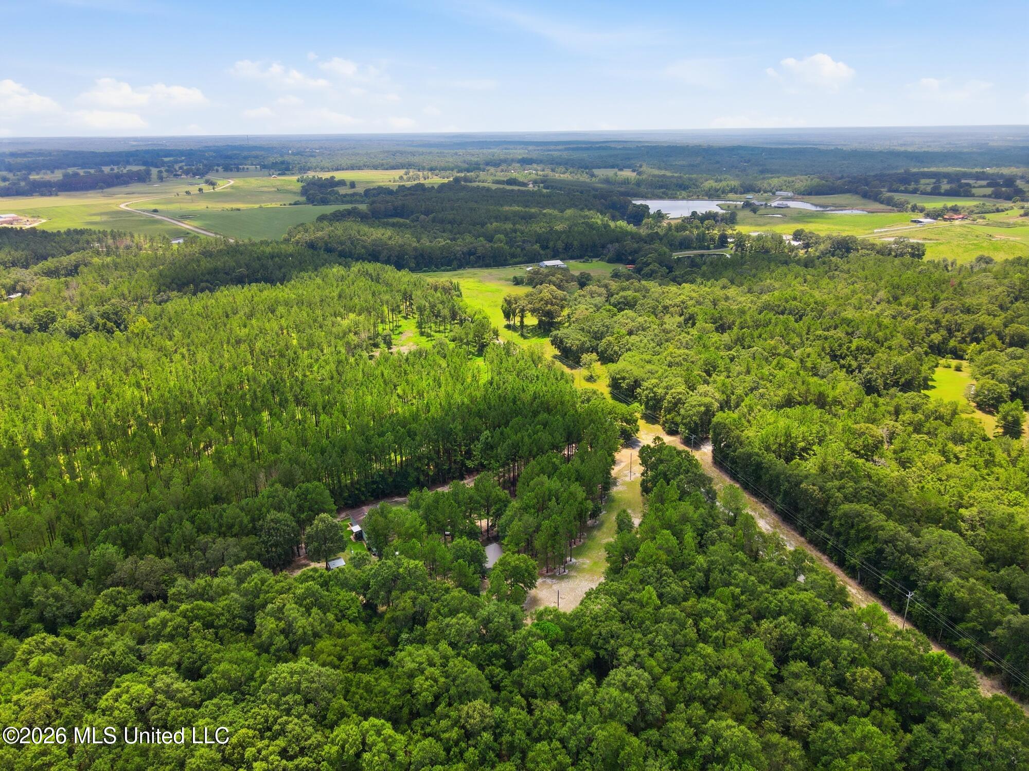 368 Otho Davis Road Lumberton, MS 39455 - Photo 37 of 40 39_dji_0050