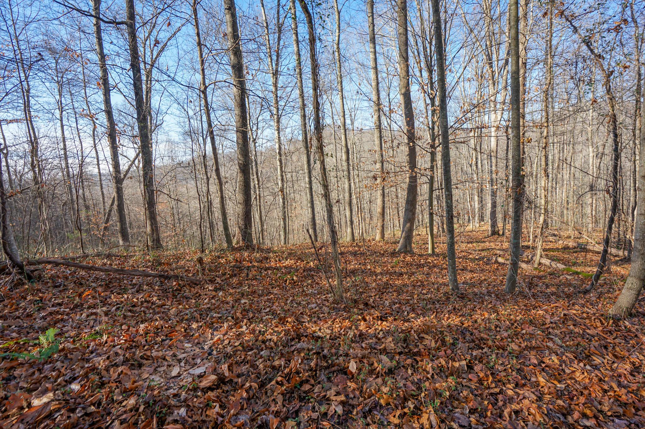 2430 Long Lick Road Stout, OH 45684 - Photo 21 of 47 DSC09732