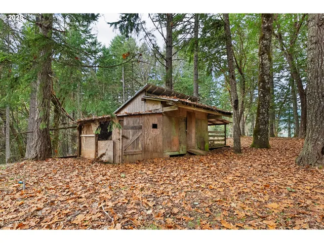 a house covered with tall trees