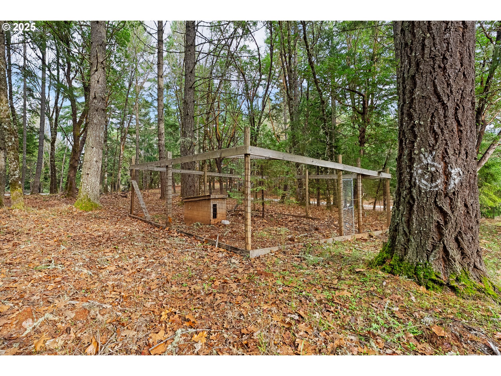414 Callahan Road Roseburg, OR 97471 - Photo 24 of 33 a backyard of a house with lots of green space