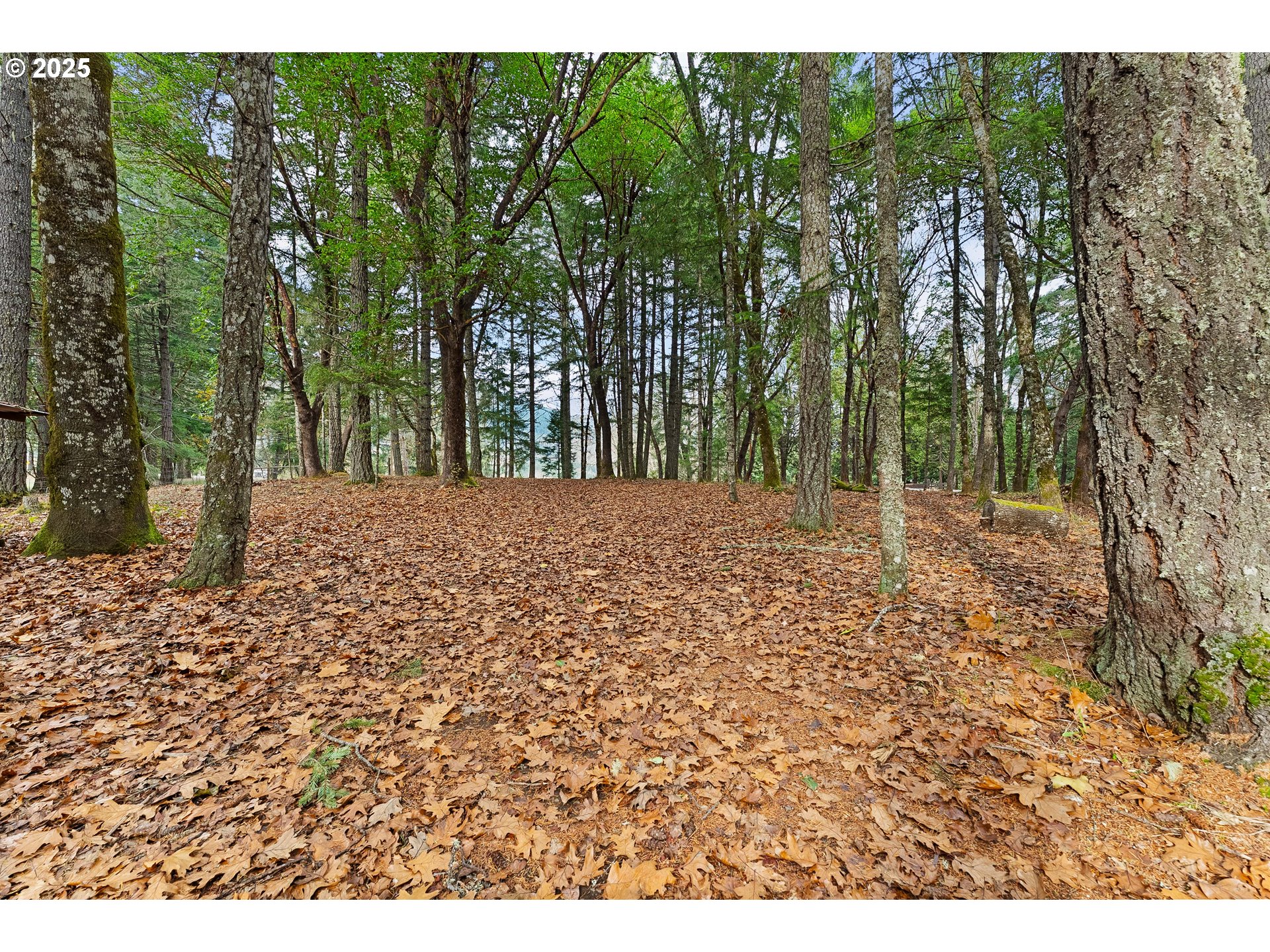 414 Callahan Road Roseburg, OR 97471 - Photo 27 of 33 a view of a yard