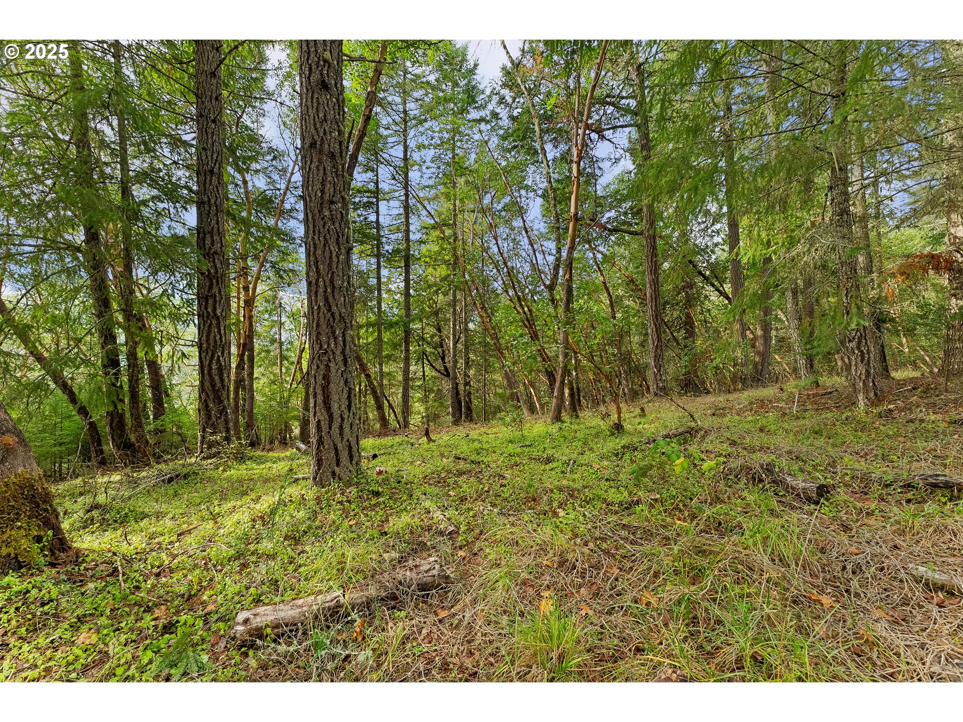 414 Callahan Road Roseburg, OR 97471 - Photo 30 of 33 a backyard of a house with lots of green space