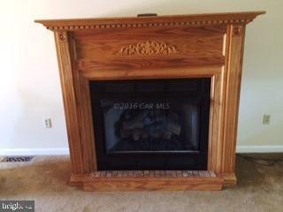 35280 Wango Road Pittsville, MD 21850 - Photo 14 of 40 Gallery Image 14