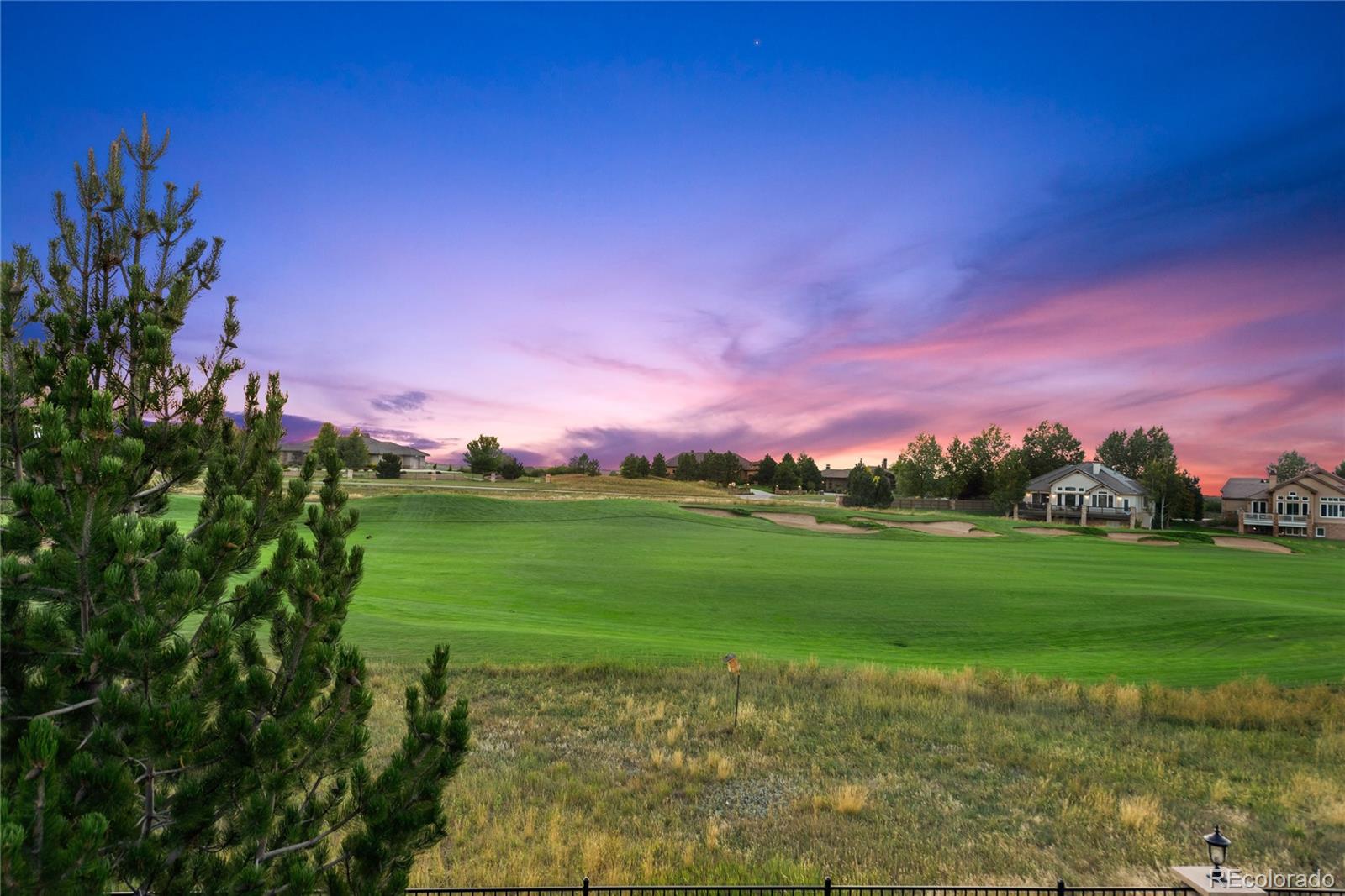 1295 Buffalo Ridge Road Castle Pines, CO 80108 - Photo 27 of 29 a view of a grassy field with an trees