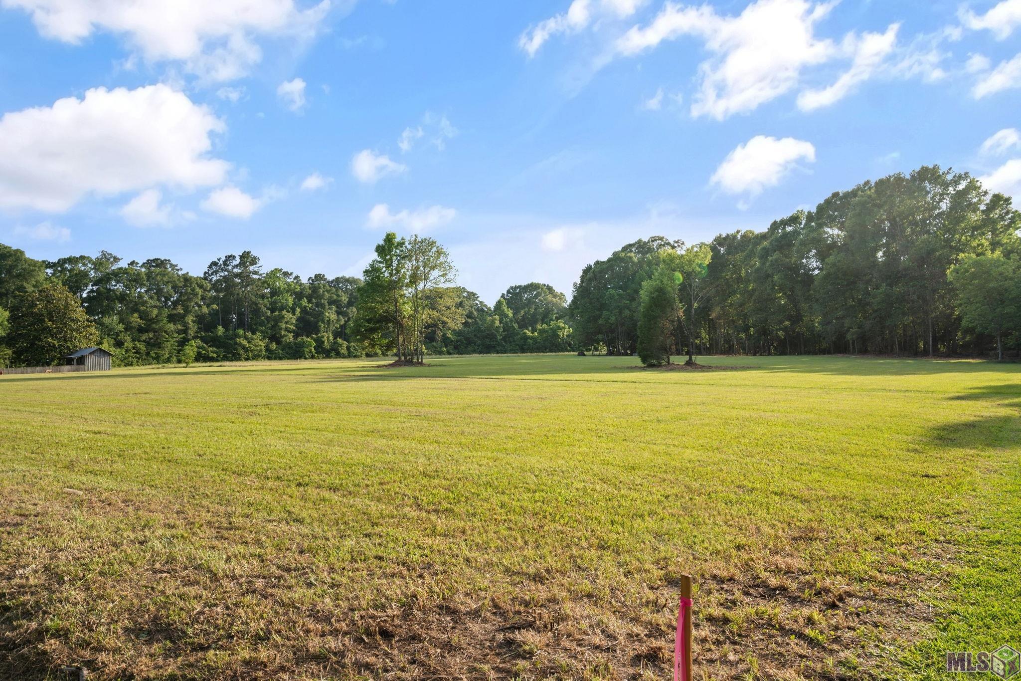 10440 Bank Street Clinton, LA 70722 - Photo 17 of 27